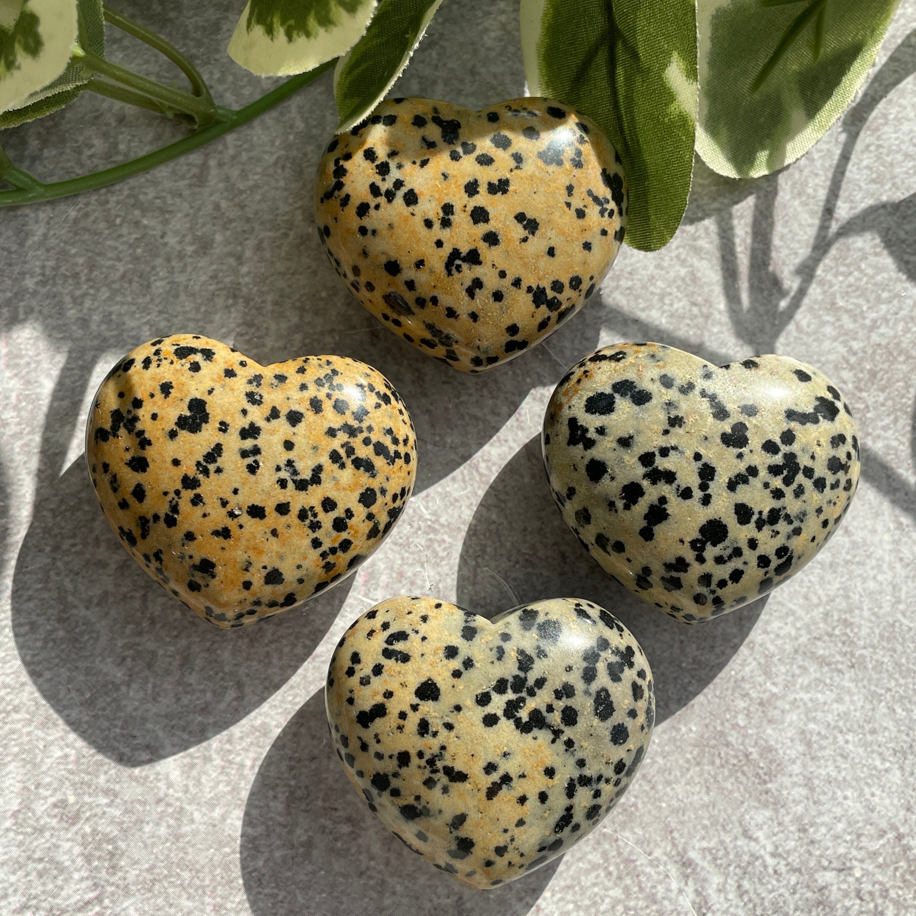 Dalmatian Jasper Heart 4cm Dalmatian Jasper Heart 4cm